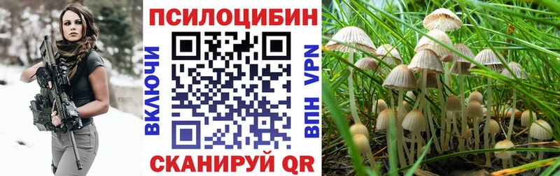 Псилоцибиновые грибы Cubensis  сколько стоит  Алатырь 