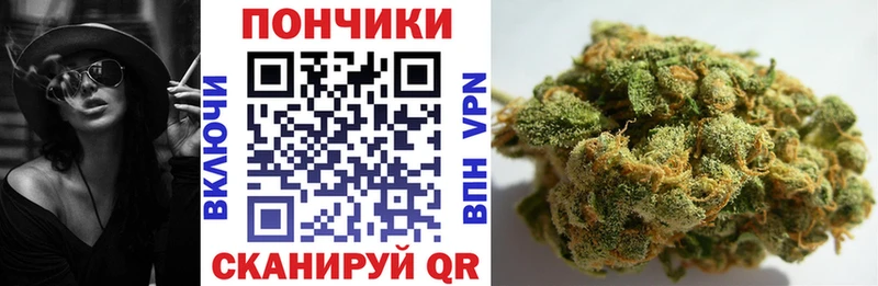 Бошки марихуана план  Алатырь 